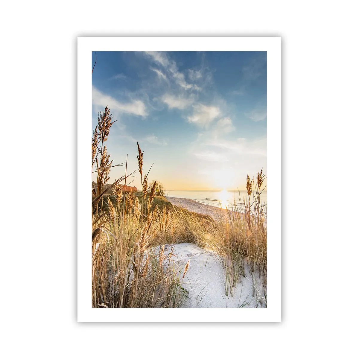 Pôster - Praia do Norte - 50x70 cm