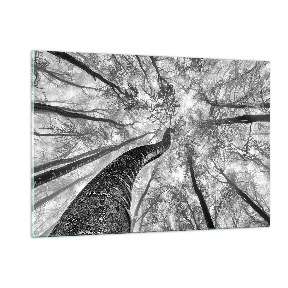 Quadro em vidro - Corrida até a luz - 120x80 cm