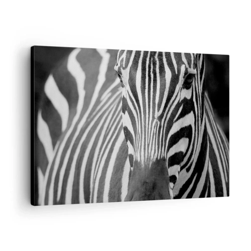Quadro em tela - Um close em preto e branco de uma zebra com suas listras características. - 70x50cm - O mundo é preto e branco - Decoração de parede moderna para a sala de estar e quarto ARTTOR