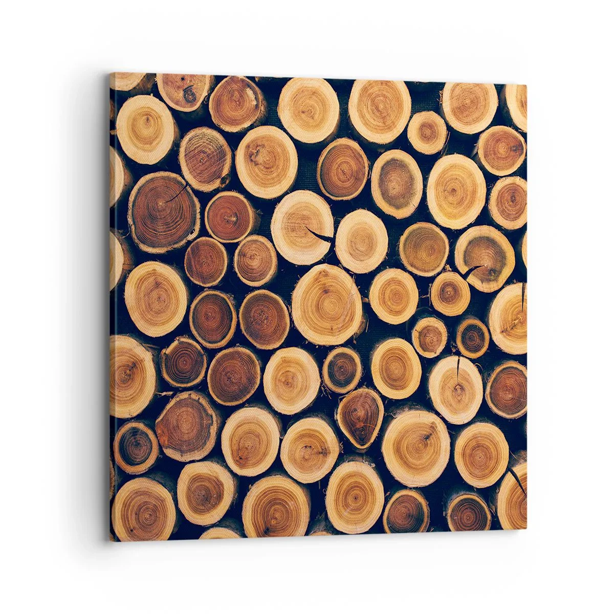 Quadro em tela - Que idade pareço ter? - 70x70 cm