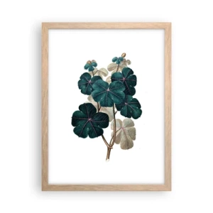 Pôster com moldura de carvalho claro - Do antigo herbário - 30x40 cm