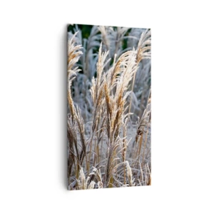 Quadro em tela - Decorado com a geada - 45x80 cm