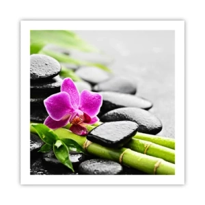 Pôster - Calmo equilíbrio - 60x60 cm