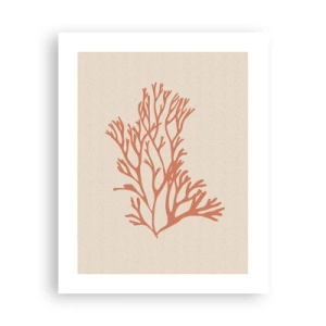 Pôster - Filigrana coral - 40x50 cm