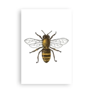 Pôster - Linda e boa - 61x91 cm