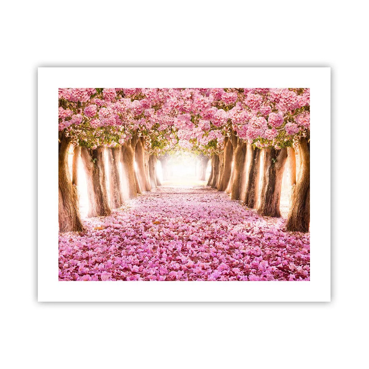 Pôster - O Caminho para o Paraíso - 50x40 cm