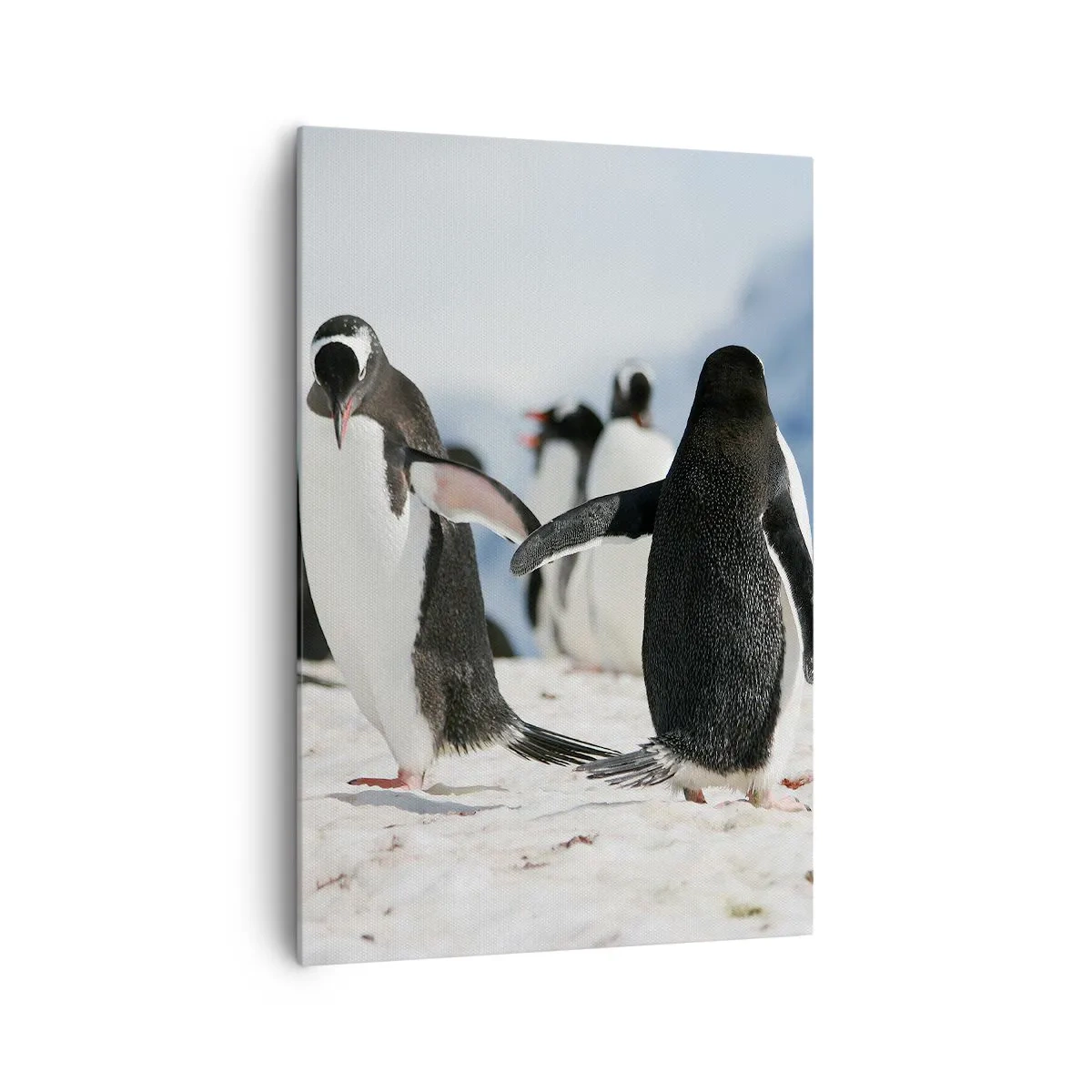 Quadro em tela - Dança na neve - 70x100 cm