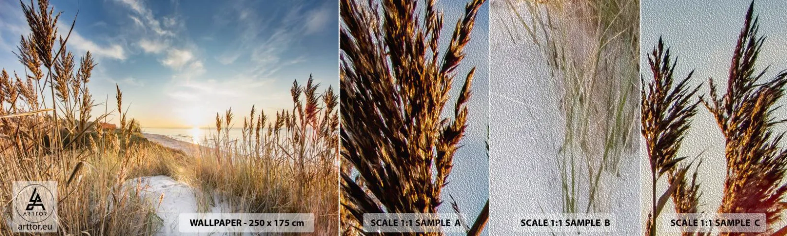 Amostra de papel de parede Premium Sand - Praia do Norte - Paisagem, Mar, Praia - 100x30 cm