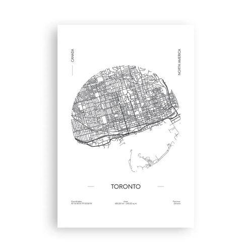 Pôster - Anatomia de Toronto - 61x91 cm