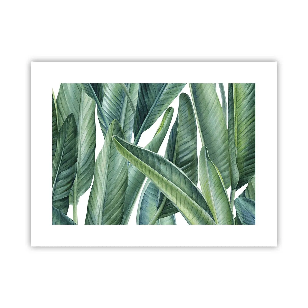 Pôster - O próprio verde - 40x30 cm