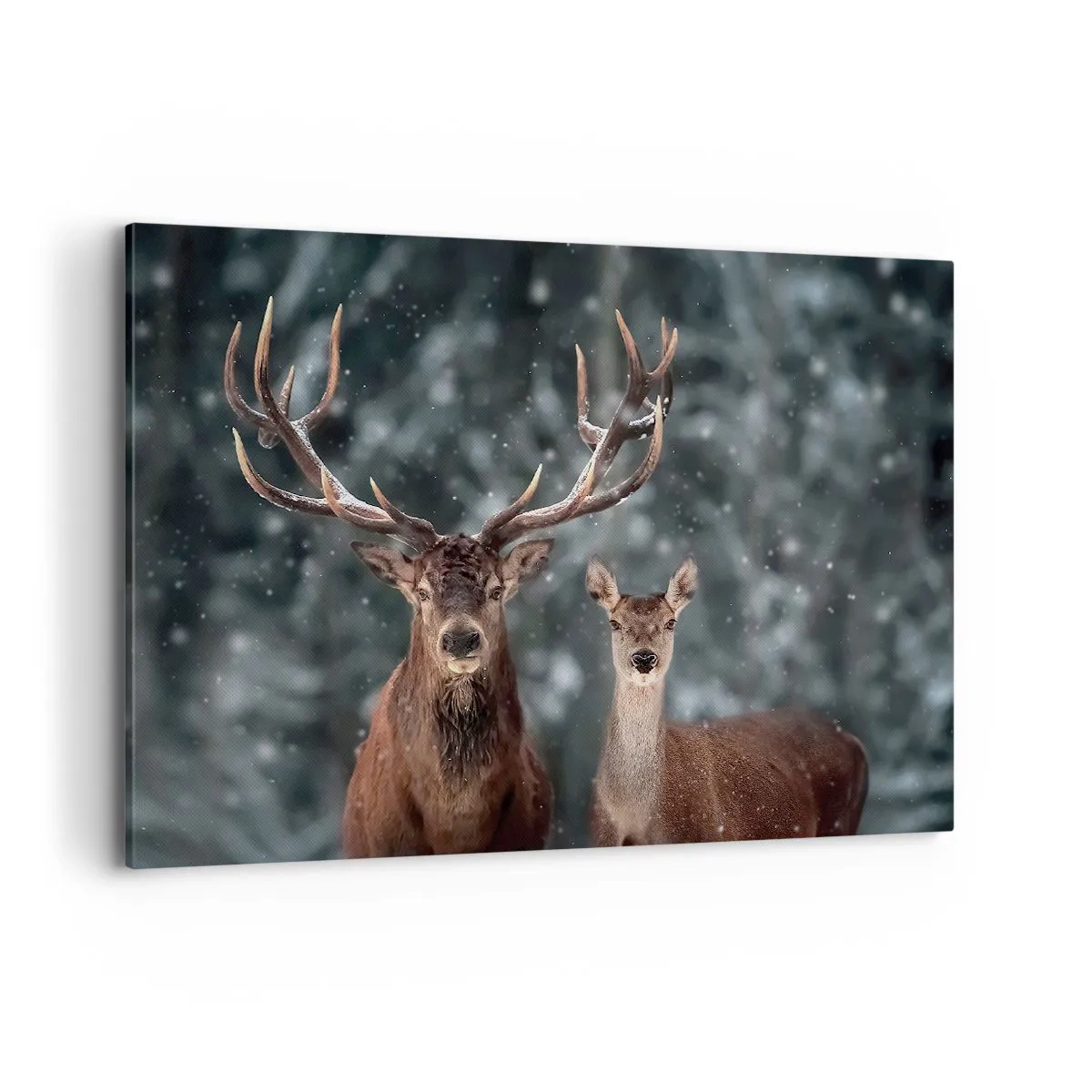 Quadro em tela - O senhor da floresta com sua esposa - 100x70 cm