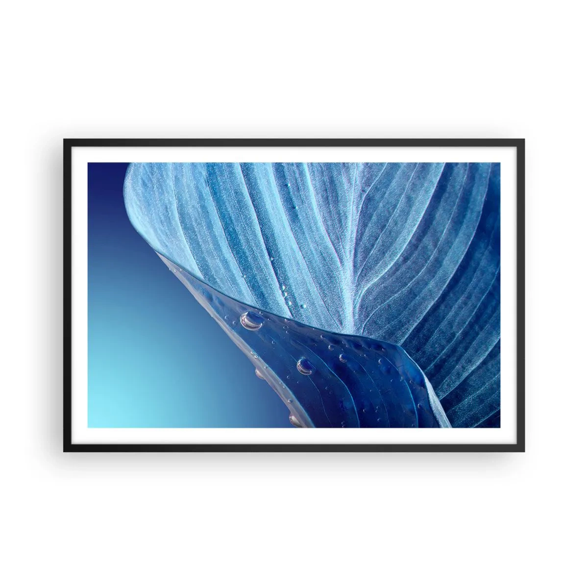 Pôster com moldura preta - Gotas escondidas no azul - 91x61 cm