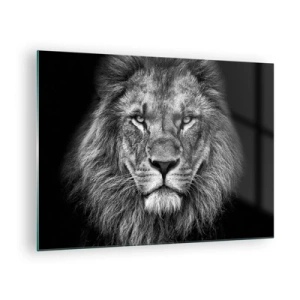 Quadro em vidro - Retrato de um leão em preto e branco com uma juba majestosa - 70x50cm - Em trajes de coroação - Decoração de parede moderna para a sala de estar e quarto ARTTOR