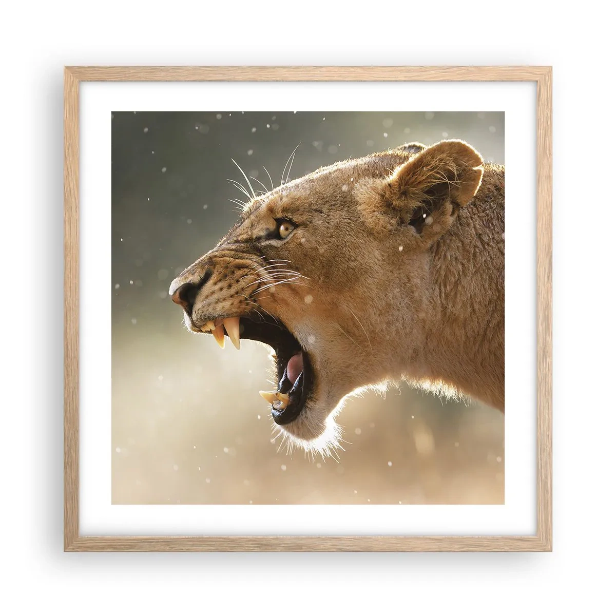 Pôster com moldura de carvalho claro - Tente não ouvir - 50x50 cm