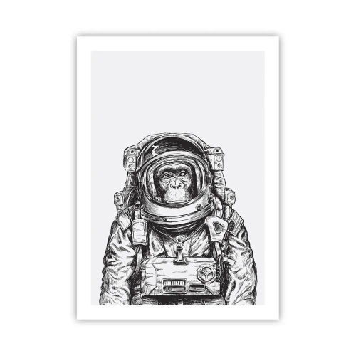 Pôster - Evolução alternativa - 50x70 cm