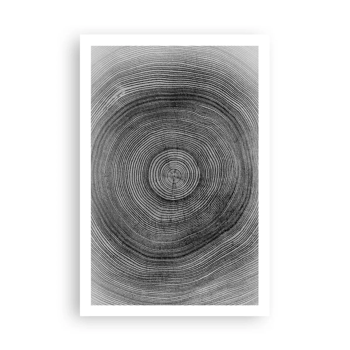 Pôster - Sinal dos tempos - 61x91 cm