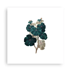 Pôster - Do antigo herbário - 30x30 cm