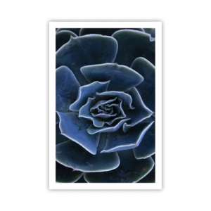 Pôster - Flor do deserto - 61x91 cm