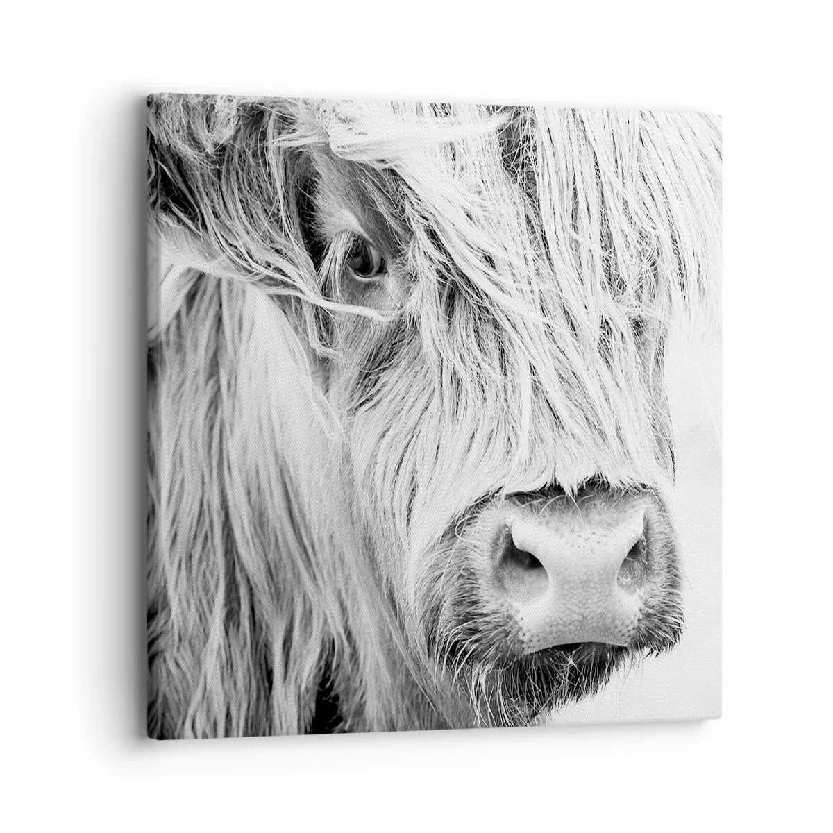 Quadro em tela - Natureza selvagem escocesa - 30x30 cm