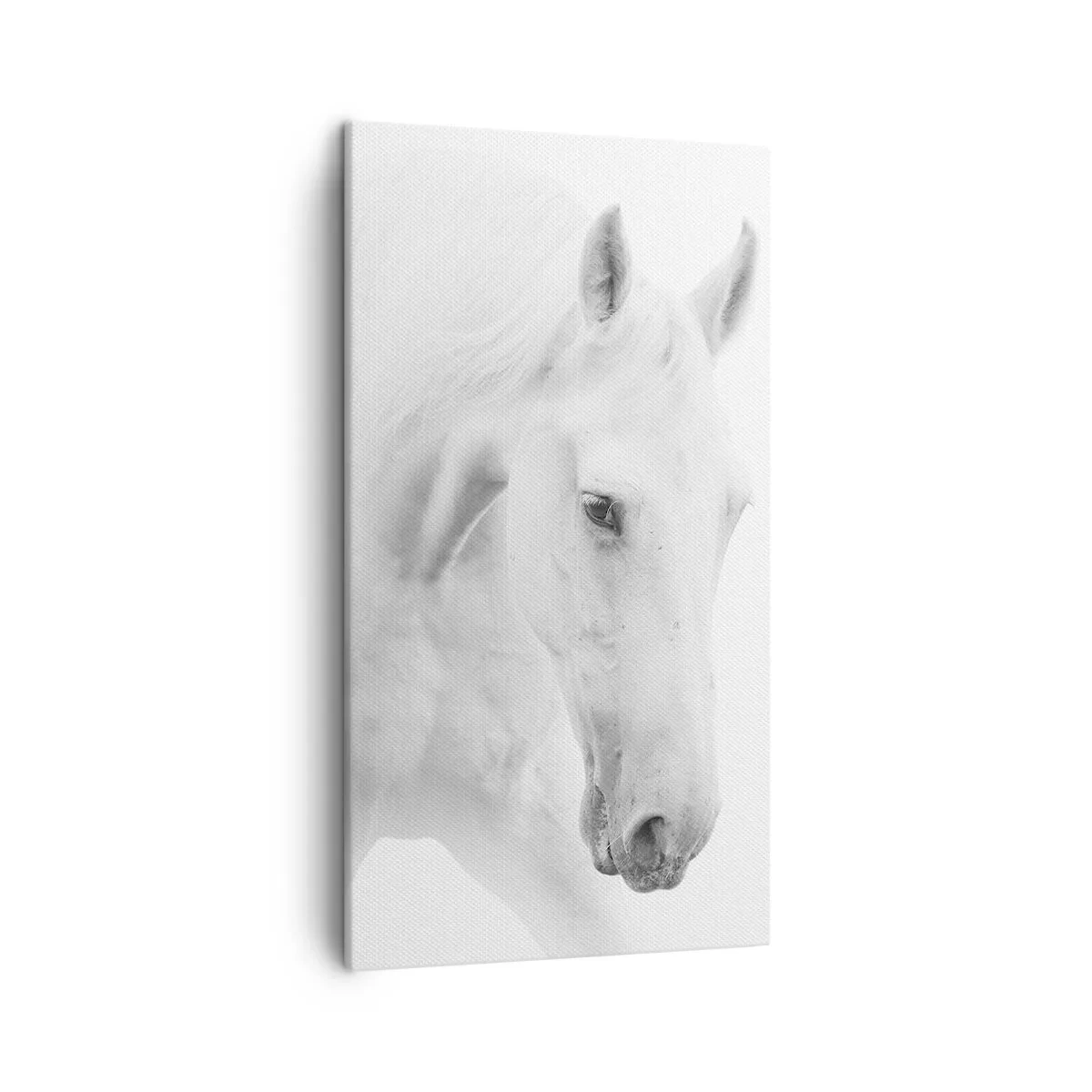 Quadro em tela - Será amizade...? - 45x80 cm