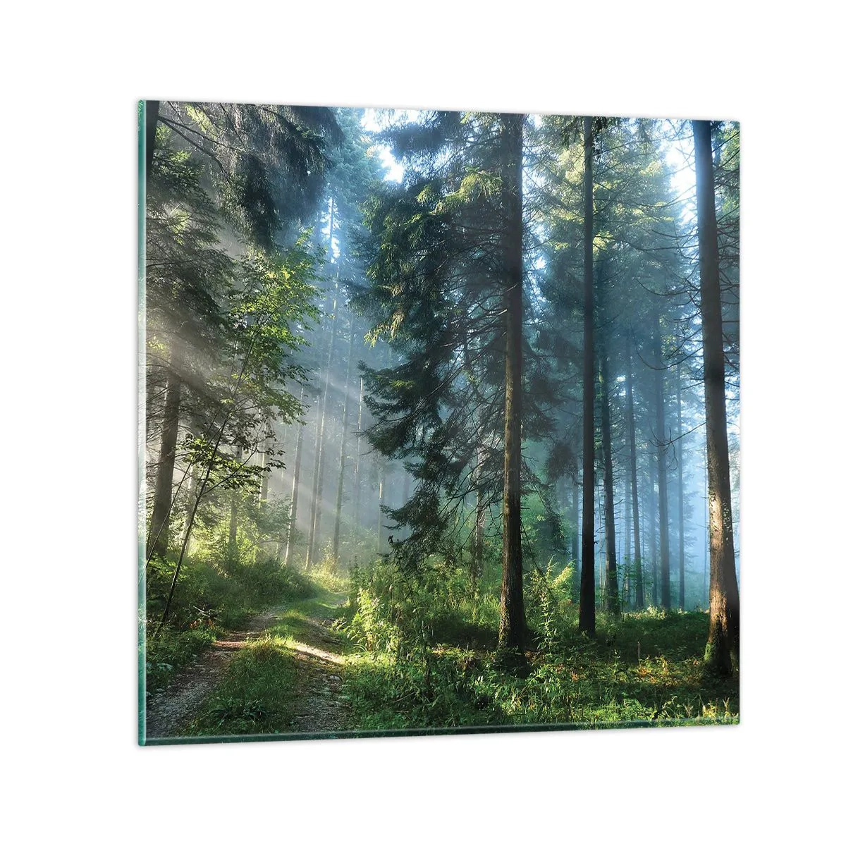 Quadro em vidro - Radiante de manhã - 30x30 cm