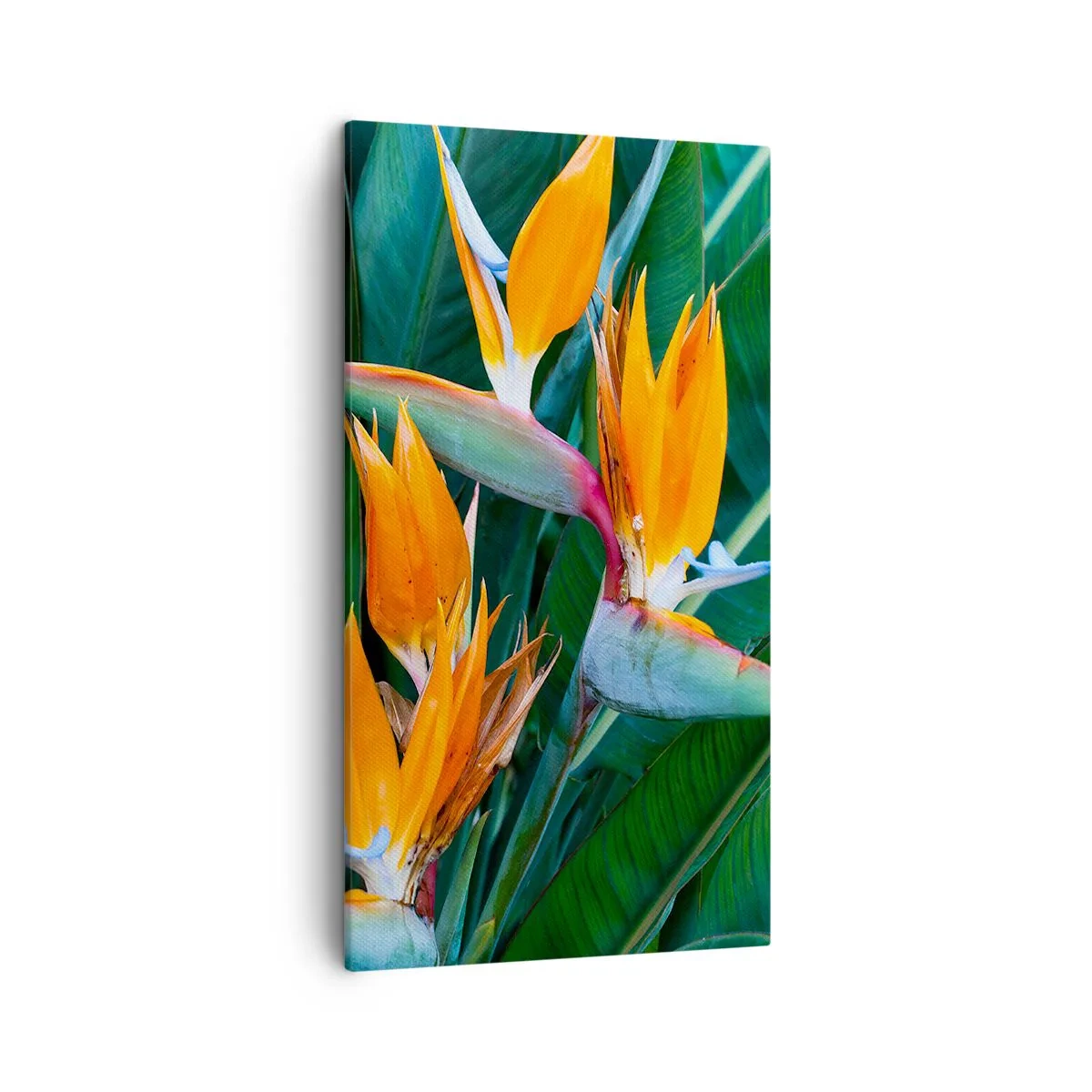 Quadro em tela - É uma flor ou é um pássaro? - 45x80 cm