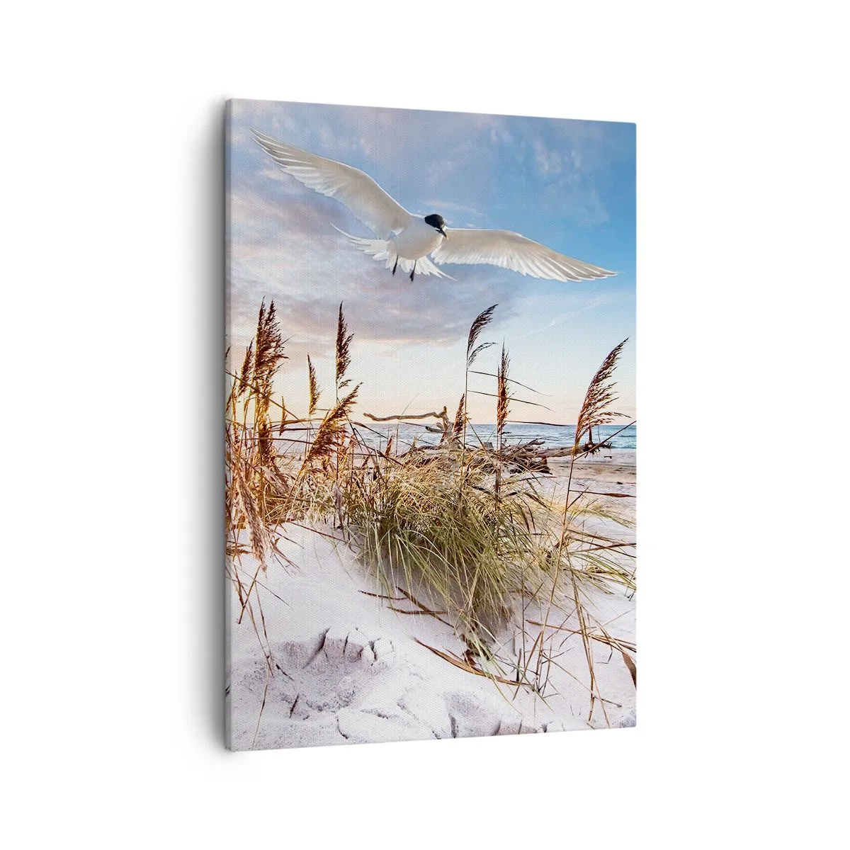 Quadro em tela - Vento do mar - 50x70 cm
