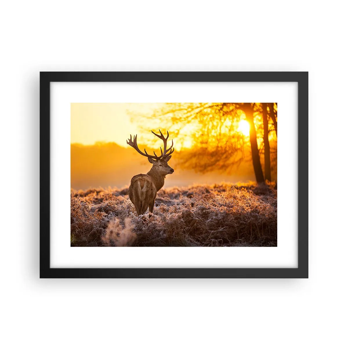 Pôster com moldura preta - Rei da floresta de outono - 40x30 cm