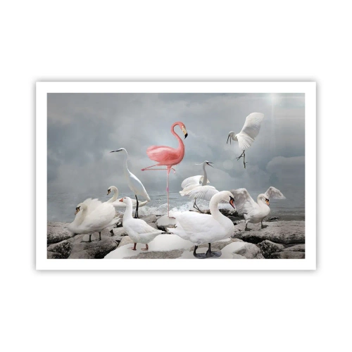 Pôster - Como vim parar aqui? - 91x61 cm