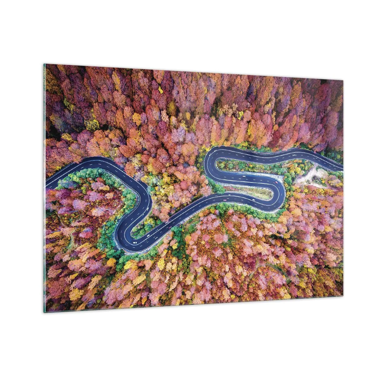 Quadro em vidro - Estrada sinuosa pela floresta - 100x70 cm