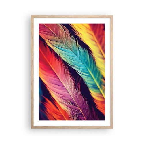 Pôster com moldura de carvalho claro - Arco-íris emplumado - 50x70 cm