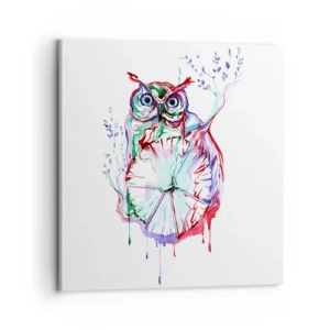 Quadro em tela - Sábio por natureza - 70x70 cm