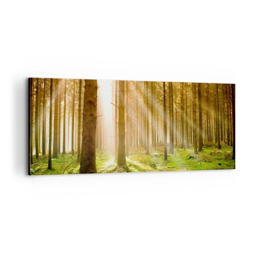 Quadro em tela - Os elfos estão prestes a aparecer - 100x40 cm