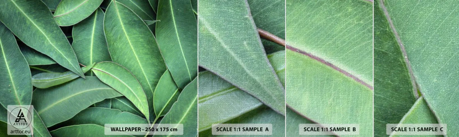 Amostra de papel de parede Premium Canvas - Suculentas e frescas - Folhas, Eucalipto, Natureza - 100x30 cm