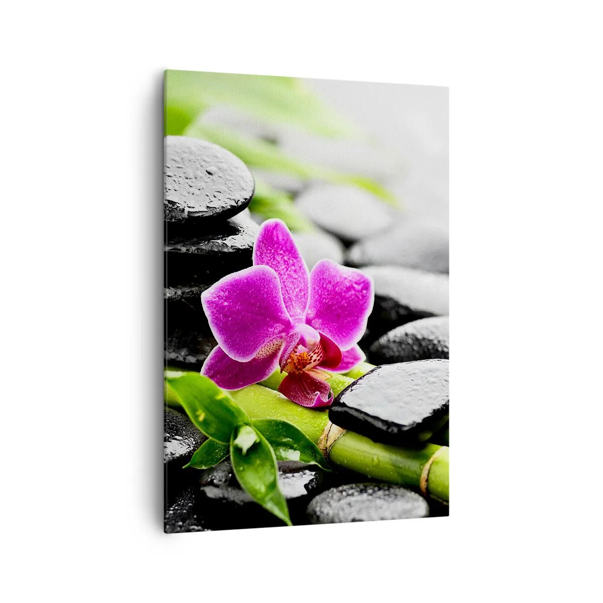 Quadro em tela - Calmo equilíbrio - 70x100 cm