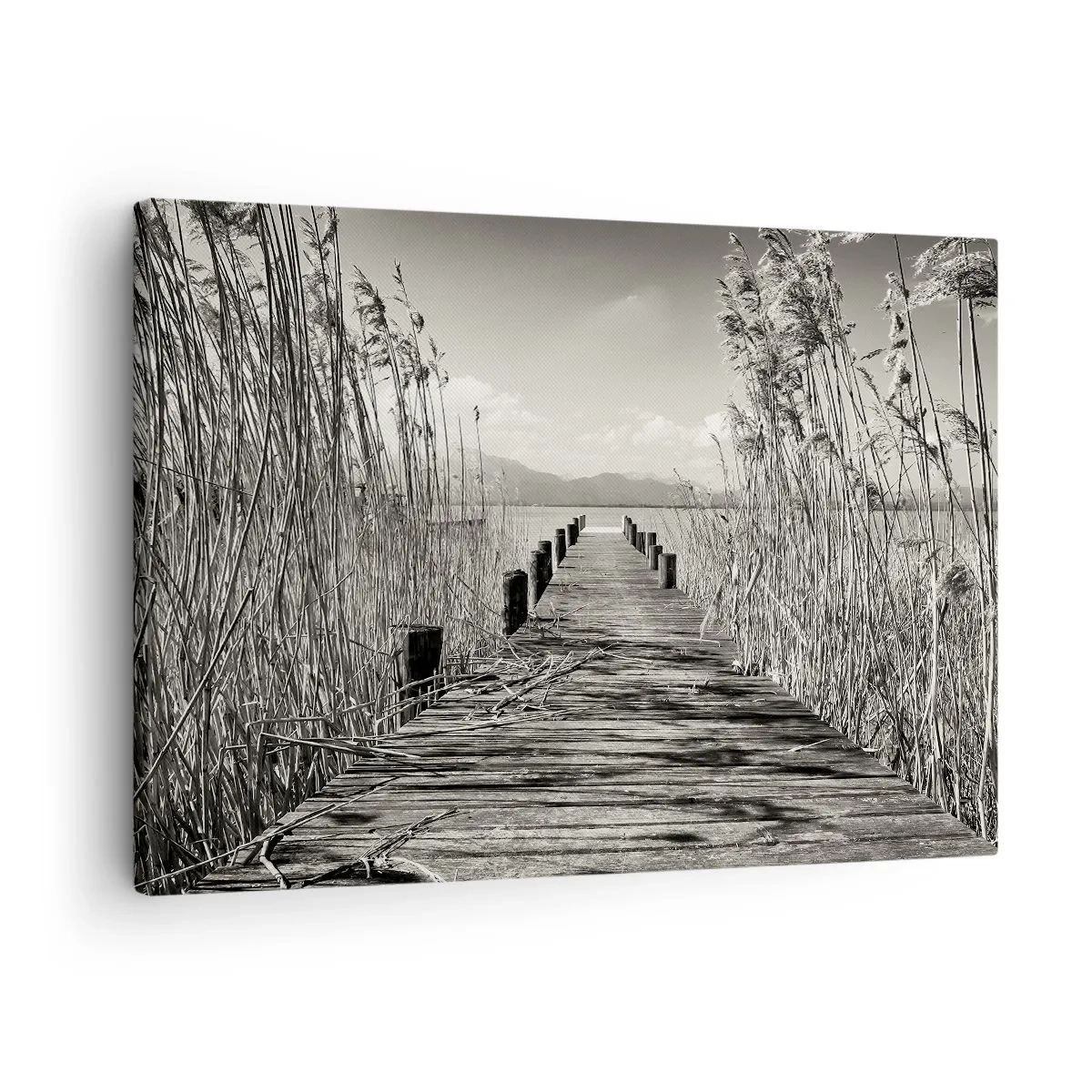Quadro em tela - Um cais de madeira entre ervas altas sobre um lago em tons de sépia - 70x50cm - No silêncio da relva - Decoração de parede moderna para a sala de estar e quarto ARTTOR