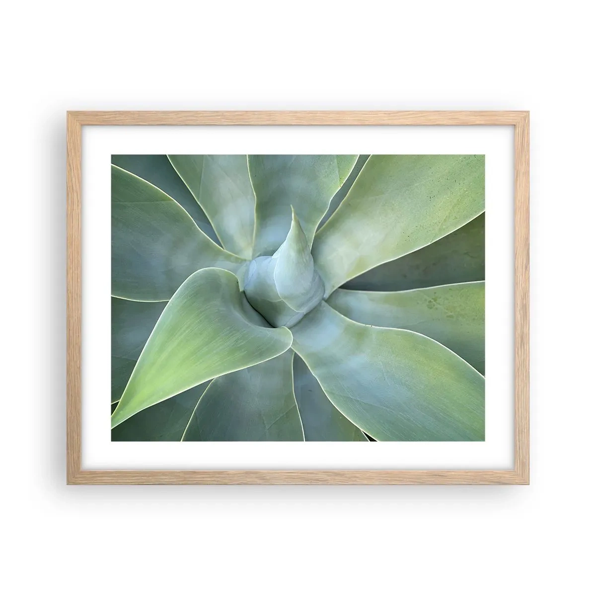 Pôster com moldura de carvalho claro - O nascimento da vegetação - 50x40 cm