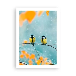 Pôster - Fofoca de pássaros - 50x70 cm
