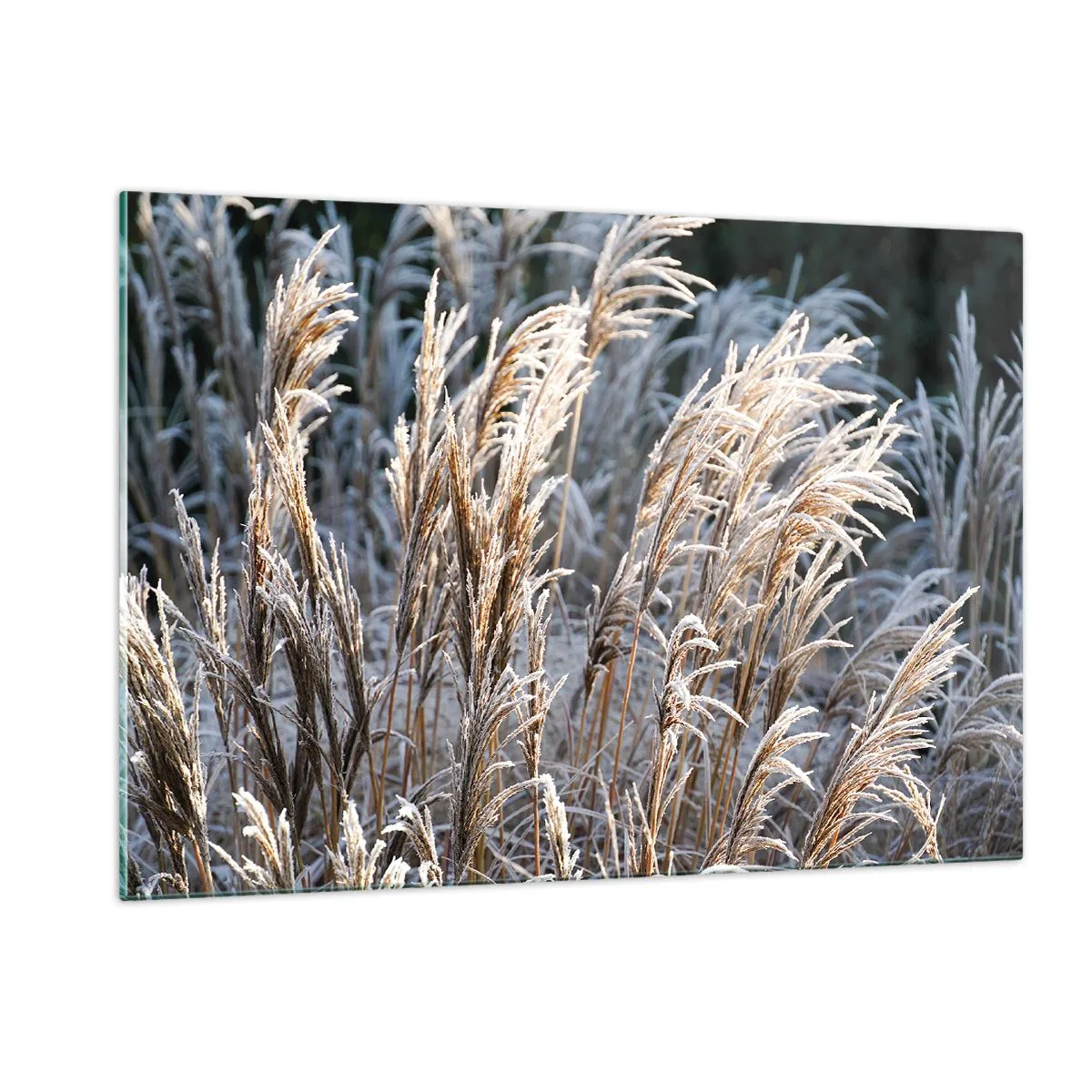 Quadro em vidro - Decorado com a geada - 120x80 cm