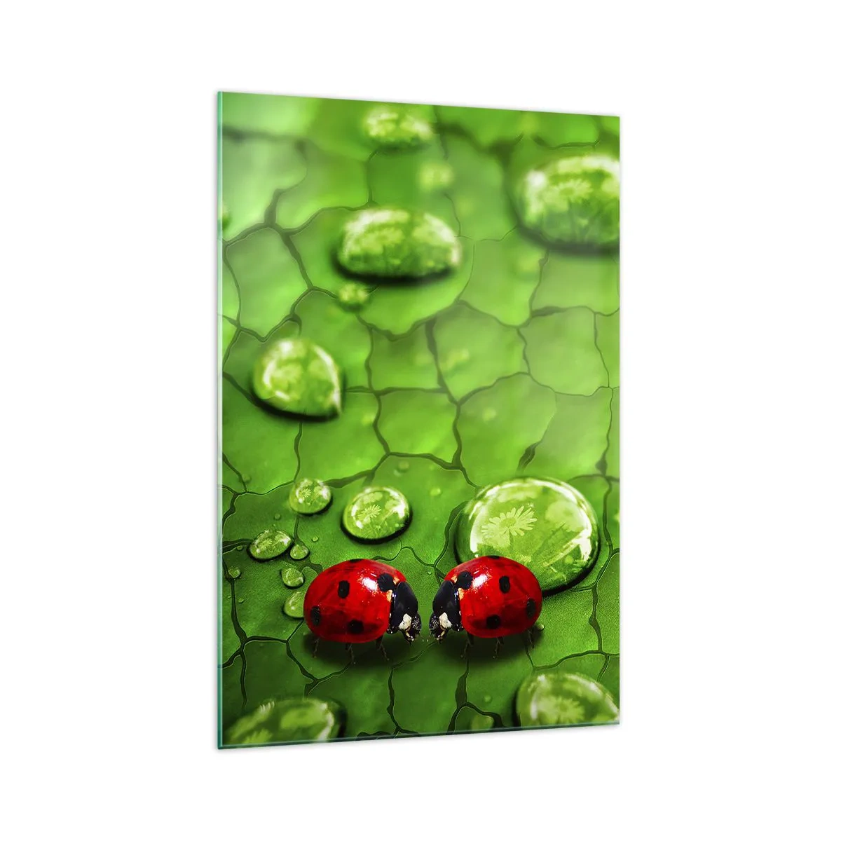 Quadro em vidro - Reunião em verde - 70x100 cm