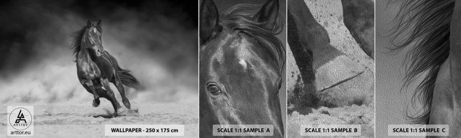 Amostra de papel de parede Premium Sand - Digno do próprio emir - Cavalo, Animais, Natureza - 100x30 cm