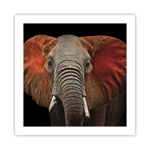 Pôster - Eu sou selvagem, e você? - 50x50 cm