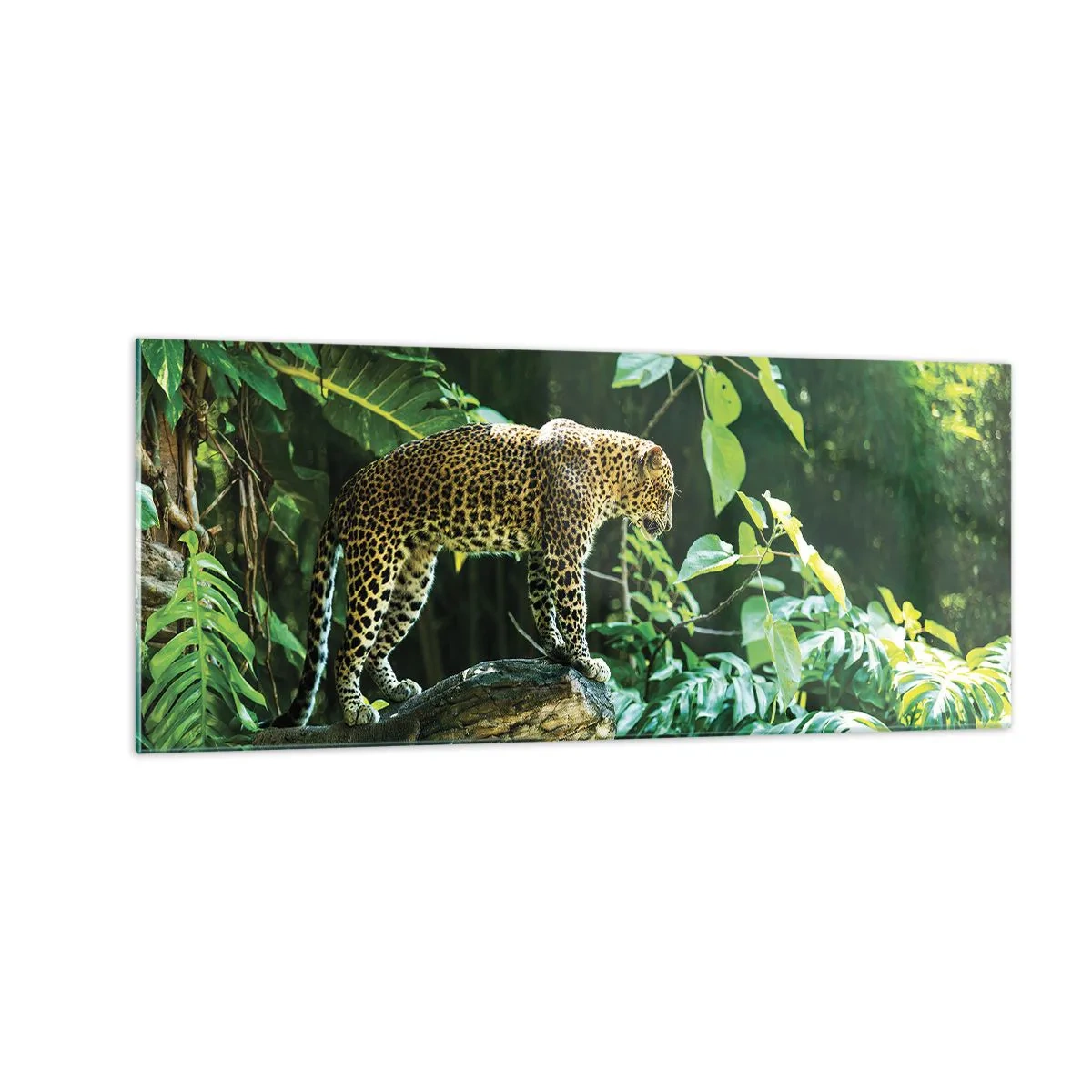 Quadro em vidro - Vamos caçar? - 100x40 cm