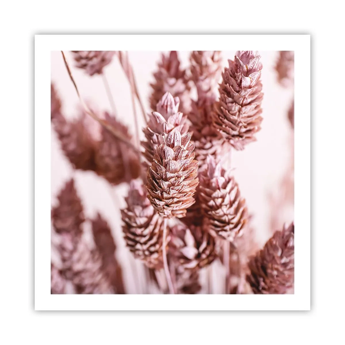 Pôster - Aparentemente discreto - 60x60 cm