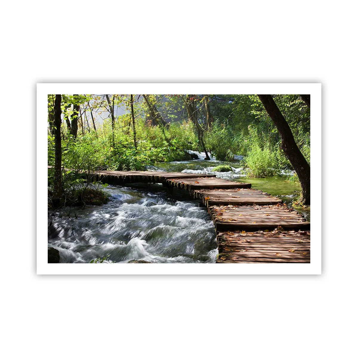 Pôster - Sobre a cascata espumosa - 91x61 cm