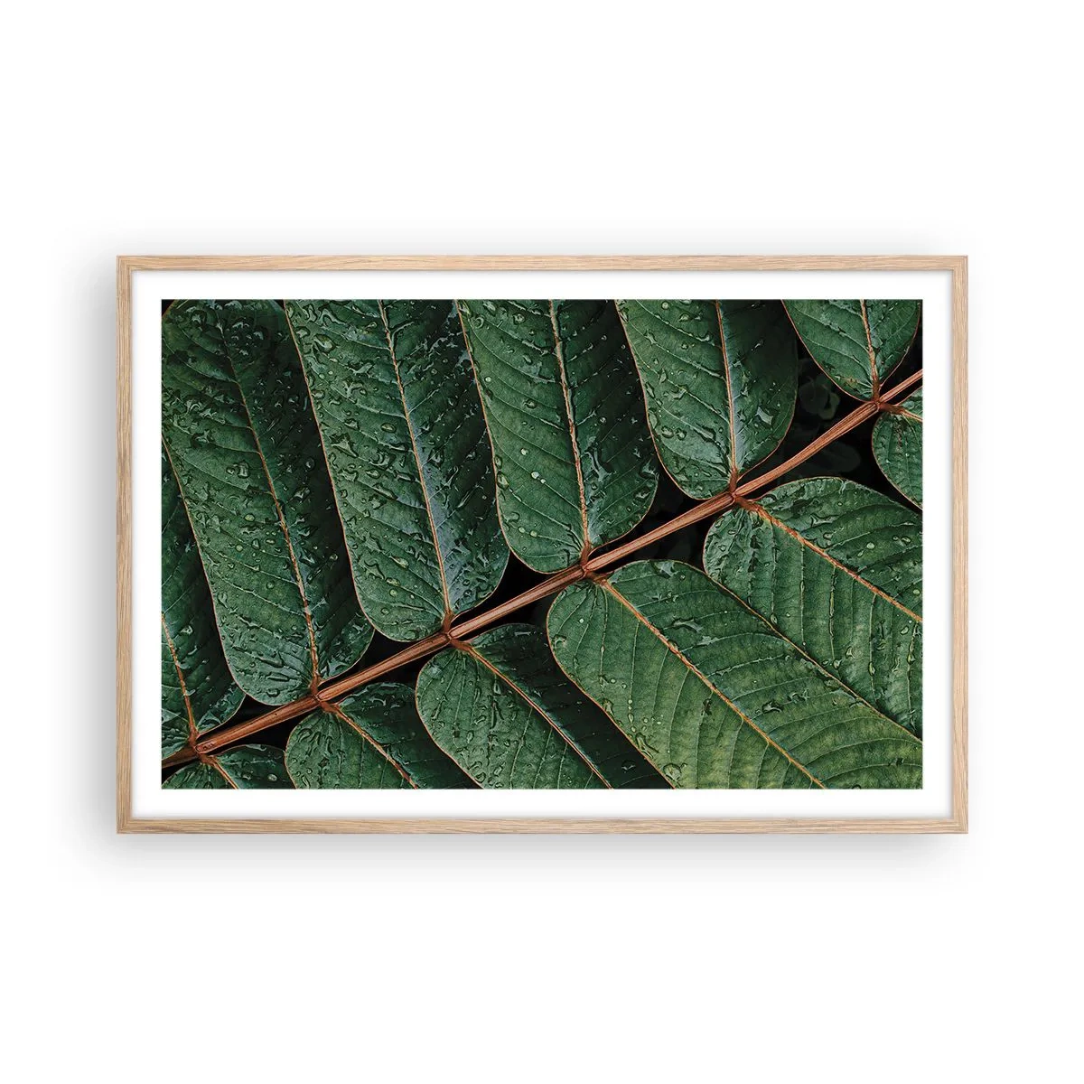 Pôster com moldura de carvalho claro - Num ritmo verde - 91x61 cm