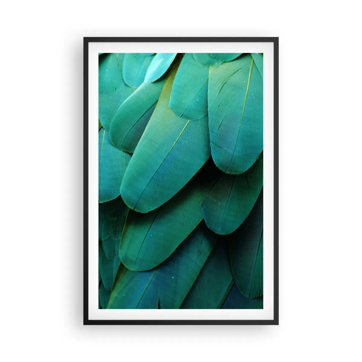 Pôster com moldura preta - Precisão de papagaio - 61x91 cm