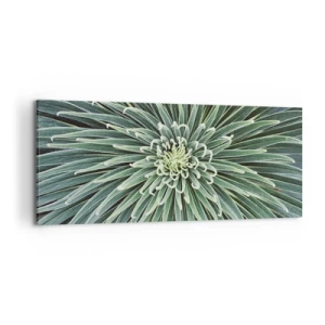 Quadro em tela - Nasce uma estrela - 120x50 cm
