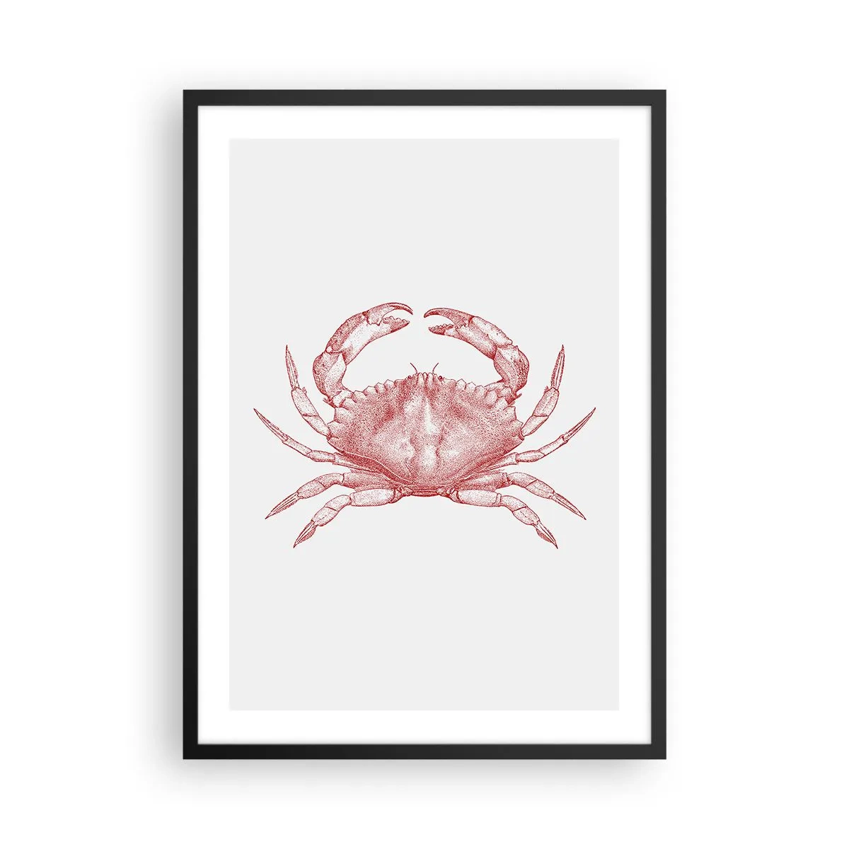 Pôster com moldura preta - Desenho de caranguejo vintage em um fundo claro - 50x70cm - Caranguejo sobre caranguejos - Decoração de parede moderna para a sala de estar e quarto ARTTOR