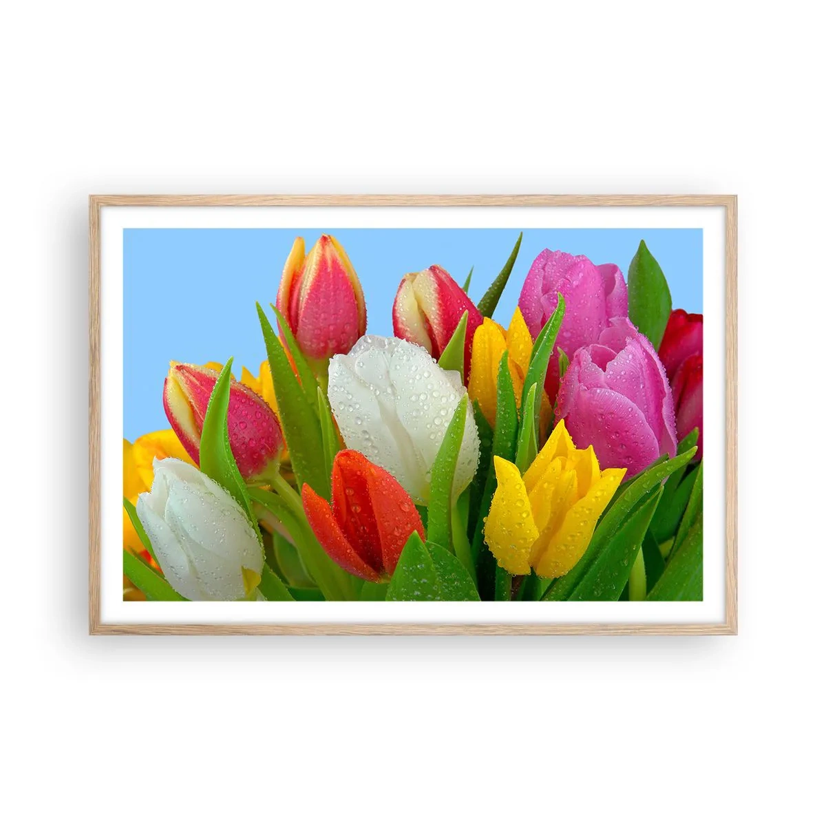 Pôster com moldura de carvalho claro - Arco-íris floral em gotas de orvalho - 91x61 cm